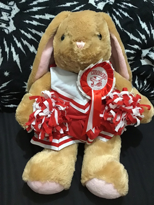 Build-a-bear High School Musical Cheerleading Outfit