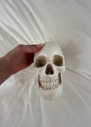Skull bowl / trinket tray, brand: BODY WORLDS, condition: Very good, £15.00, £16.45 includes Buyer Protection