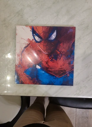 Cadre Spiderman, brand: Spiderman, condition: New without tags, €3.00, €3.85 includes Buyer Protection