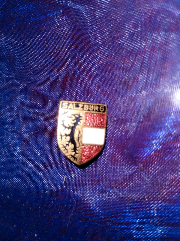 Very nice looking pin from Germany 1