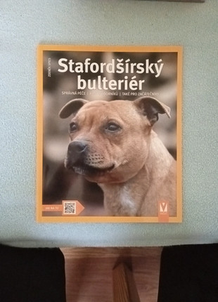 Obrázek k inzerátu: Stafordšírský bulteriér