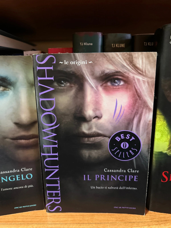 Saga completa shadowhunters ( le origini) Vinted