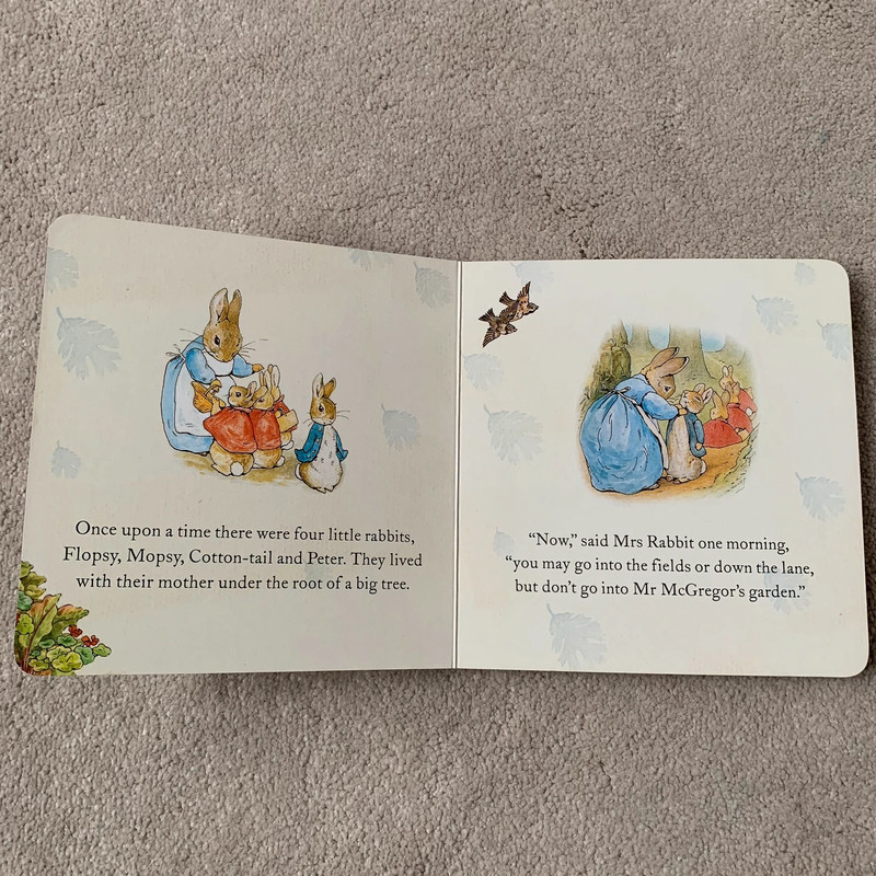 The tale of Peter Rabbit & The tale of Jamima Puddle -Duck 2