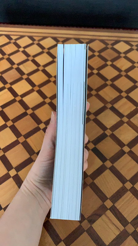 Livre Bel-Ami de Guy de Maupassant - photo numéro 3