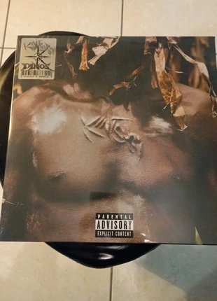 Vinyle Dinos Kintsugi, zustand: Neu, mit Etikett, 30,00 €, 32,20 € inklusive Vinted-Käuferschutz