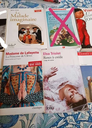 Livres classiques en lot ou à l'unité, zustand: Gut, 1,00 €, 1,75 € inklusive Vinted-Käuferschutz