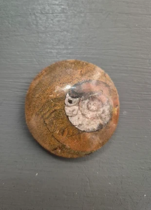 Pierre précieuse fossile ammonite, brand: Pierre, condition: Very good, €3.00, €3.85 includes Buyer Protection