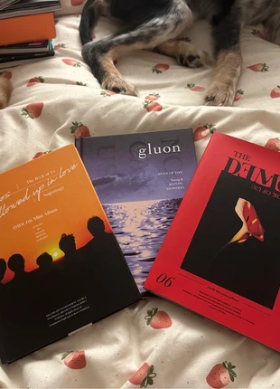 albums day6, zustand: Neu, 6,00 €, 7,00 € inklusive Vinted-Käuferschutz