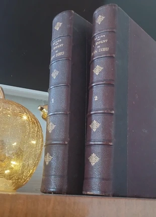 2 tomes de "l'enfant de dieu" très deco!., marque: je ne sais pas, état: Bon état, 10,00 €, 11,20 € Protection acheteurs incluse
