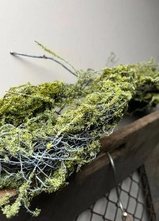 Kunst mos twijg tak, staat: Nieuw zonder prijskaartje, € 22,50, € 24,33 inclusief Kopersbescherming