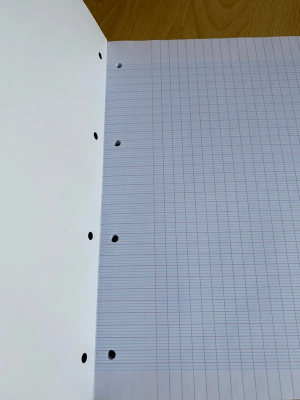 Feuilles mobiles perforées - photo numéro 2