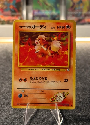 Caninos Gym, marke: Pokémon, zustand: Gut, 3,50 €, 4,38 € inklusive Vinted-Käuferschutz