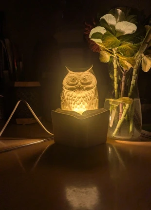 Lampe Hibou en Plâtre Blanc – Sculpture Livre – Veilleuse Décorative, état: Bon état, 12,00 €, 13,30 € Protection acheteurs incluse