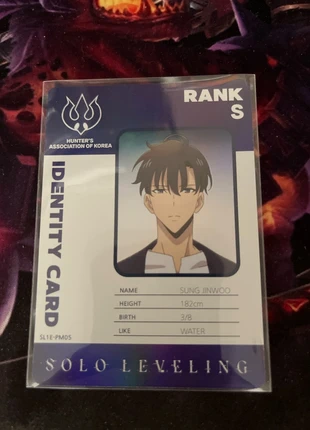 Solo leveling Identity card PM04, brand: Mapniverse, condition: New without tags, €10.00, €11.20 includes Buyer Protection