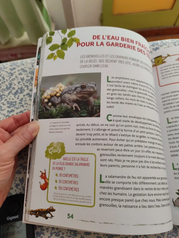 Écoute les animaux parler, à la découverte des habitants des bois et des prés - photo numéro 4