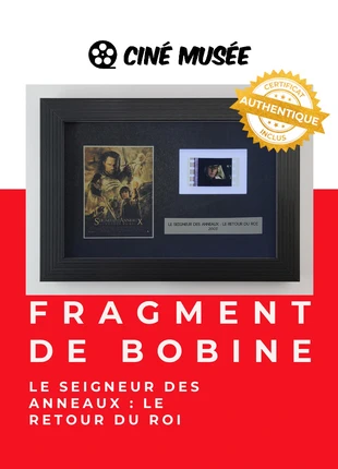 Le Seigneur des anneaux : Le Retour du roi (Scène 4) - Fragment de bobine 35 mm, marque: sans marque, état: Très bon état, 19,90 €, 21,60 € Protection acheteurs (Pro) incluse
