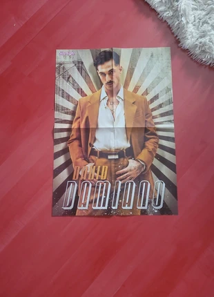 Poster recto-verso, David Damiano/Timothée Chalamet, brand: YOUSTAR, condition: Very good, €2.00, €2.80 includes Buyer Protection