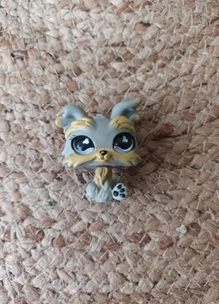 Lps #883 yorkshire, marke: Hasbro, zustand: Sehr gut, größe: Einheitsgröße, 2,00 €, 2,80 € inklusive Vinted-Käuferschutz