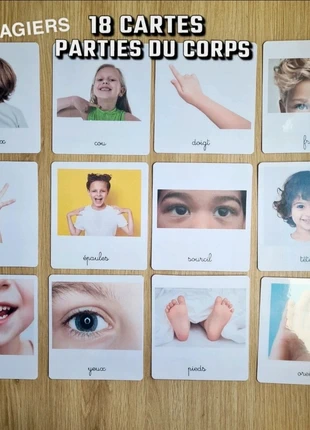 18 imagiers sur les parties du corps humain, brand: imagier montessori, condition: New with tags, size: 3 years / 98 cm, €9.99, €11.19 includes Buyer Protection Pro