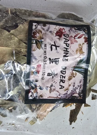 Dafne Odora, marque: Natural, état: Très bon état, 2,00 €, 2,80 € Protection acheteurs incluse