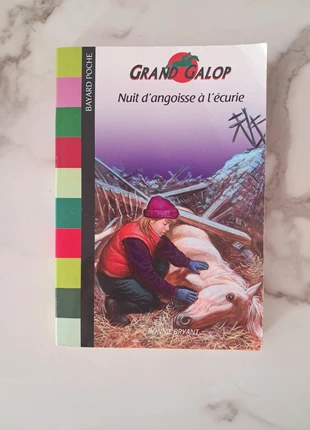 Livre nuit d'angoisse à l'écurie, état: Très bon état, 3,00 €, 3,85 € Protection acheteurs incluse