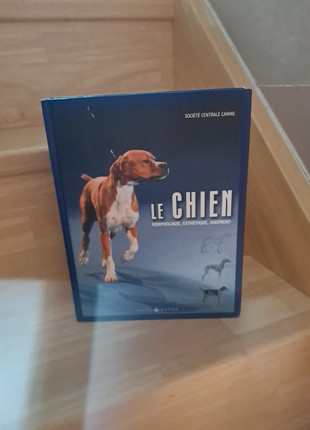 Le chien castor et Pollux, estado: Bom, €7.90, €9.00 inclui Proteção do Comprador