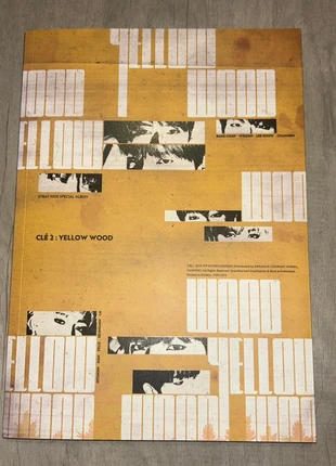 Stray Kids album Yellow Wood, état: Très bon état, 14,00 €, 15,40 € Protection acheteurs incluse
