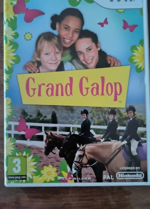 Grand galop wii, zustand: Sehr gut, 5,00 €, 5,95 € inklusive Vinted-Käuferschutz