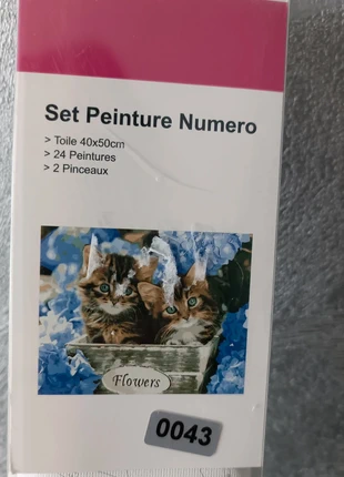 Set peinture au numéro chat, staat: Goed, maat: 12 jaar / 152 cm, € 3,50, € 4,38 inclusief Kopersbescherming