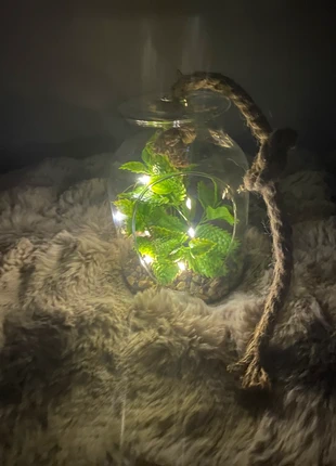 Fausse plante lumineuse - Botanic - neuve, merk: botanic, staat: Nieuw zonder prijskaartje, € 10,50, € 11,73 inclusief Kopersbescherming