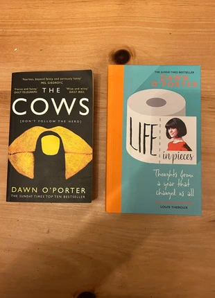 2 Dawn O Porter books, condition: Very good, £2.00, £2.80 includes Buyer Protection