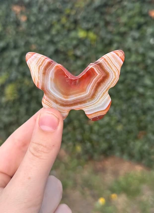 Prachtige carneool vlinder, estado: Nuevo sin etiquetas, 5,95 €, 6,95 € Protección al comprador incluida