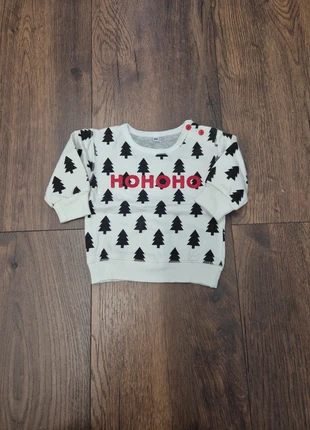 HoHo truitje maat 68, merk: Zeeman, staat: Goed, maat: 6-9 maanden / 68 cm, € 1,00, € 1,75 inclusief Kopersbescherming