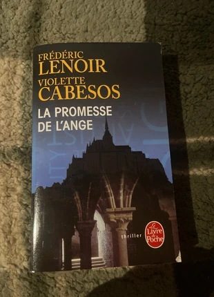 La promesse de l’ange, état: Bon état, 3,00 €, 3,85 € Protection acheteurs incluse