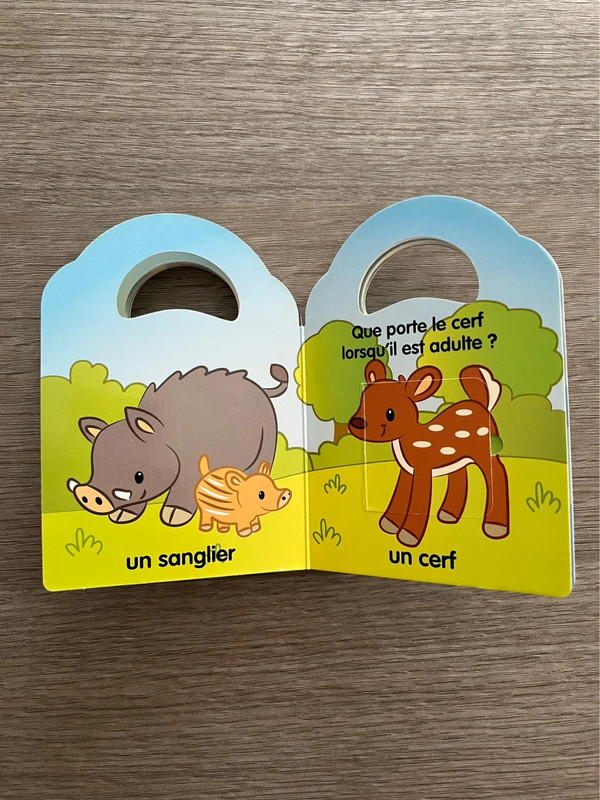 Jouons à cache cache les animaux - photo numéro 6
