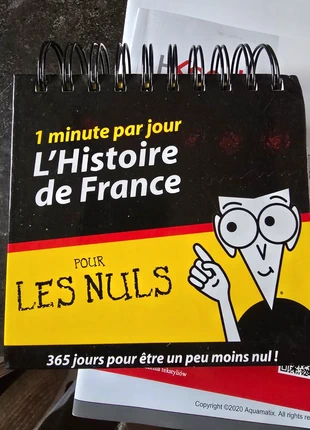 L histoire de France pour les nuls, merk: First Editions, staat: Heel goed, € 5,00, € 5,95 inclusief Kopersbescherming