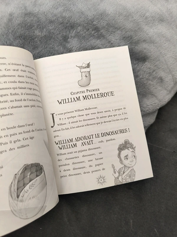Livre le noëlosaure - photo numéro 5