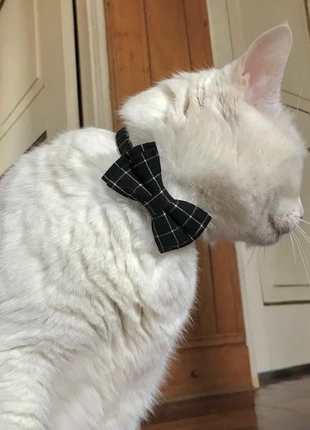 Coleira com laço para gato, marca: Miminhos4all, estado: Nuevo sin etiquetas, 3,50 €, 4,38 € Protección al comprador Pro incluida