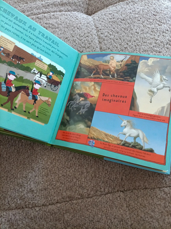 Livre Kididoc : Les chevaux et les poneys - photo numéro 12