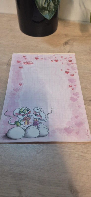 Carnet de feuilles diddl - photo numéro 2
