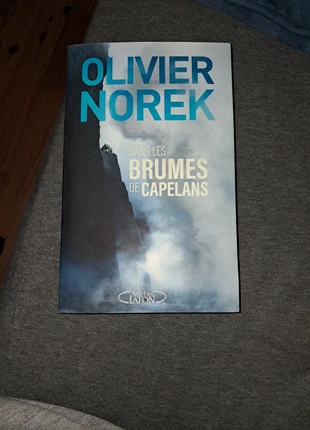 Dans les brumes de capelains - Olivier Norek, staat: Heel goed, € 11,00, € 12,25 inclusief Kopersbescherming