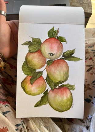 Aquarel Schilderij – Appels op A5-formaat, staat: Nieuw met prijskaartje, € 14,99, € 16,44 inclusief Kopersbescherming