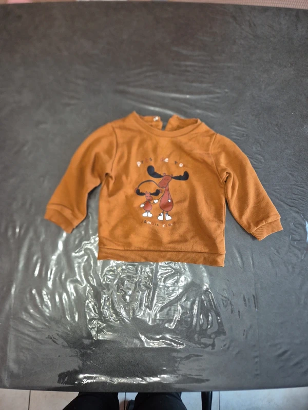 Pull garcon renne