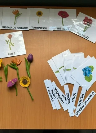 Figurines fleurs et cartes paires Montessori, marke: Montessori, zustand: Sehr gut, größe: 6 Jahre / 116, 13,00 €, 14,35 € inklusive Vinted-Käuferschutz