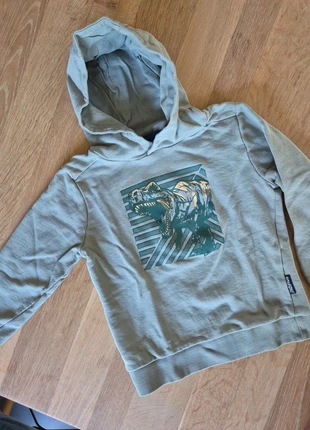 Pull à capuche, merk: Someone, staat: Heel goed, maat: 5 jaar / 110 cm, € 1,60, € 2,38 inclusief Kopersbescherming