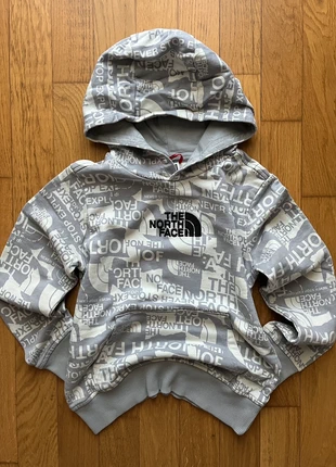 Felpa The North Face, marque: The North Face, état: Neuf sans étiquette, taille: L, 15,00 €, 16,45 € Protection acheteurs incluse
