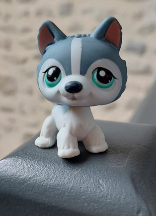 Pet shop chien husky, marque: Littlest Pet Shop, état: Bon état, taille: Taille unique, 2,00 €, 2,80 € Protection acheteurs incluse