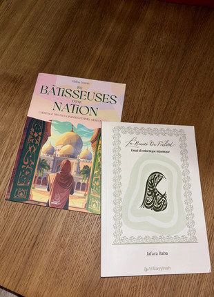 Lot de 2 livres neufs valeur 21,90€, estado: Novo com etiquetas, €16.00, €17.50 inclui Proteção do Comprador