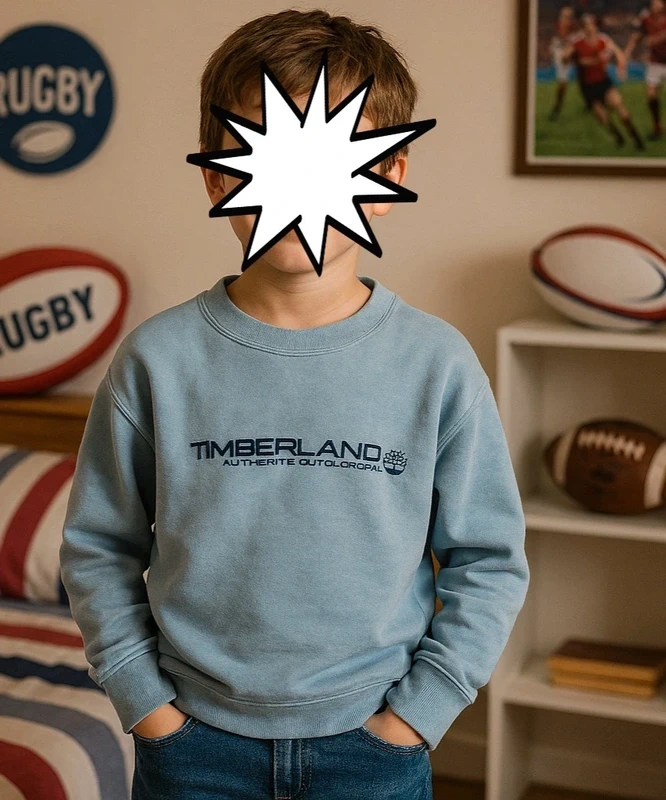 Sweat Timberland taille 10 ans