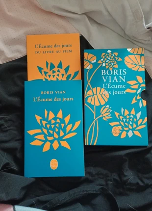 L'écume des jours de Boris Vian, zustand: Gut, 5,00 €, 5,95 € beinhaltet Vinted-Käuferschutz Pro